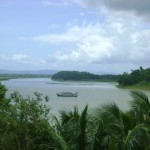 অসাারন
