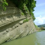 পাহারিক বিউটি