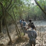 অরন্যযাত্রী