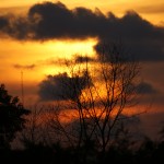 DSC00692