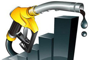 petrol-price-hike-sm20111230084716