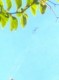 আবিদ (০২-০৮)